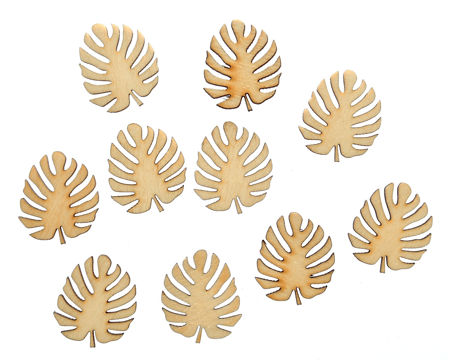 Skrapki liście monstery 10 szt w komplecie