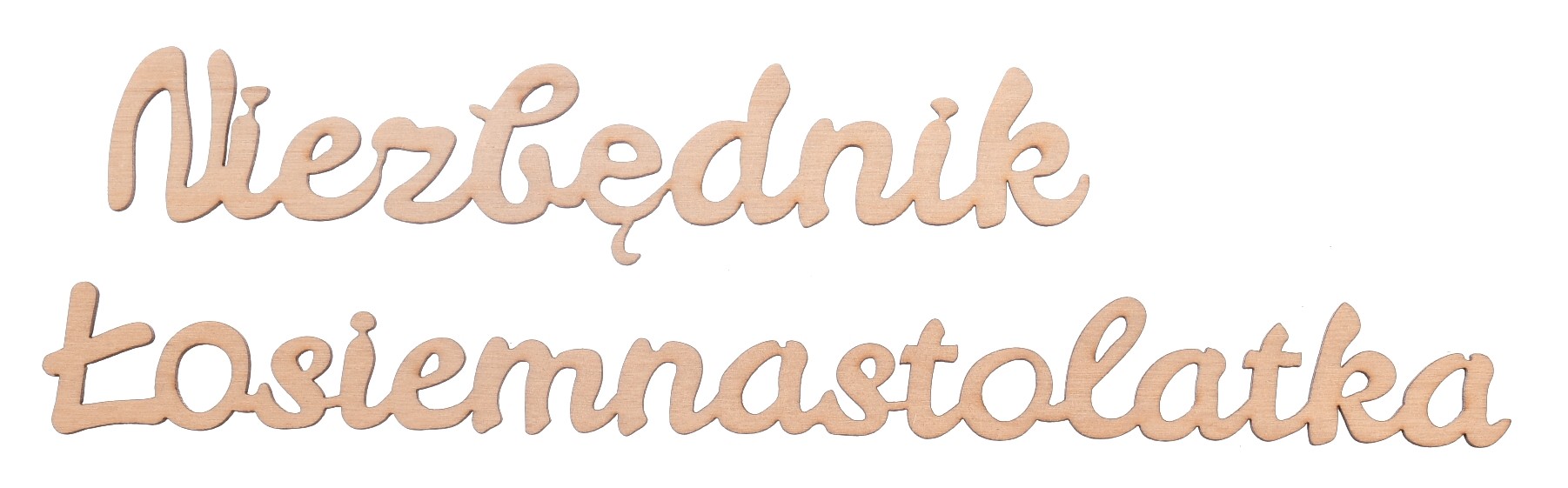 Napis Niezbędnik Łosiemnastolatka