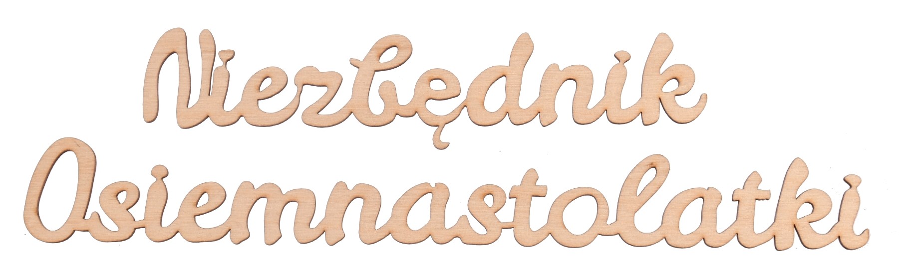 Napis Niezbędnik Osiemnastolatki