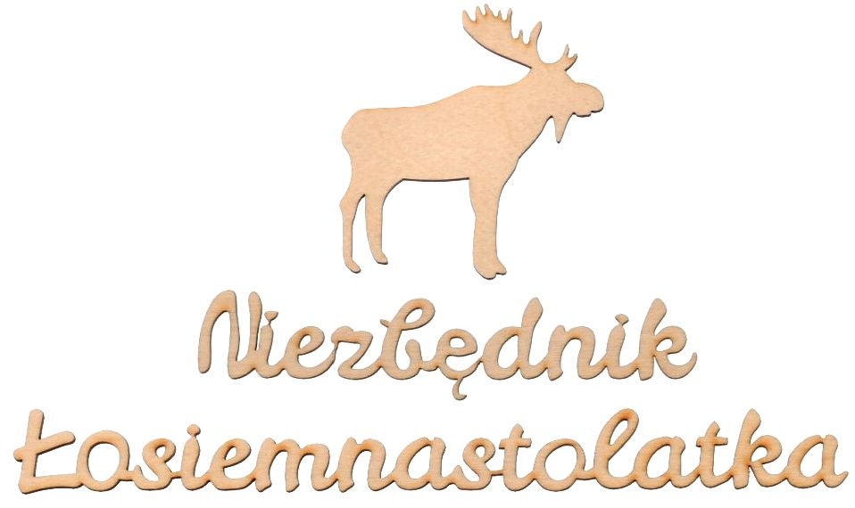 Dekoracja na 18 urodziny napis