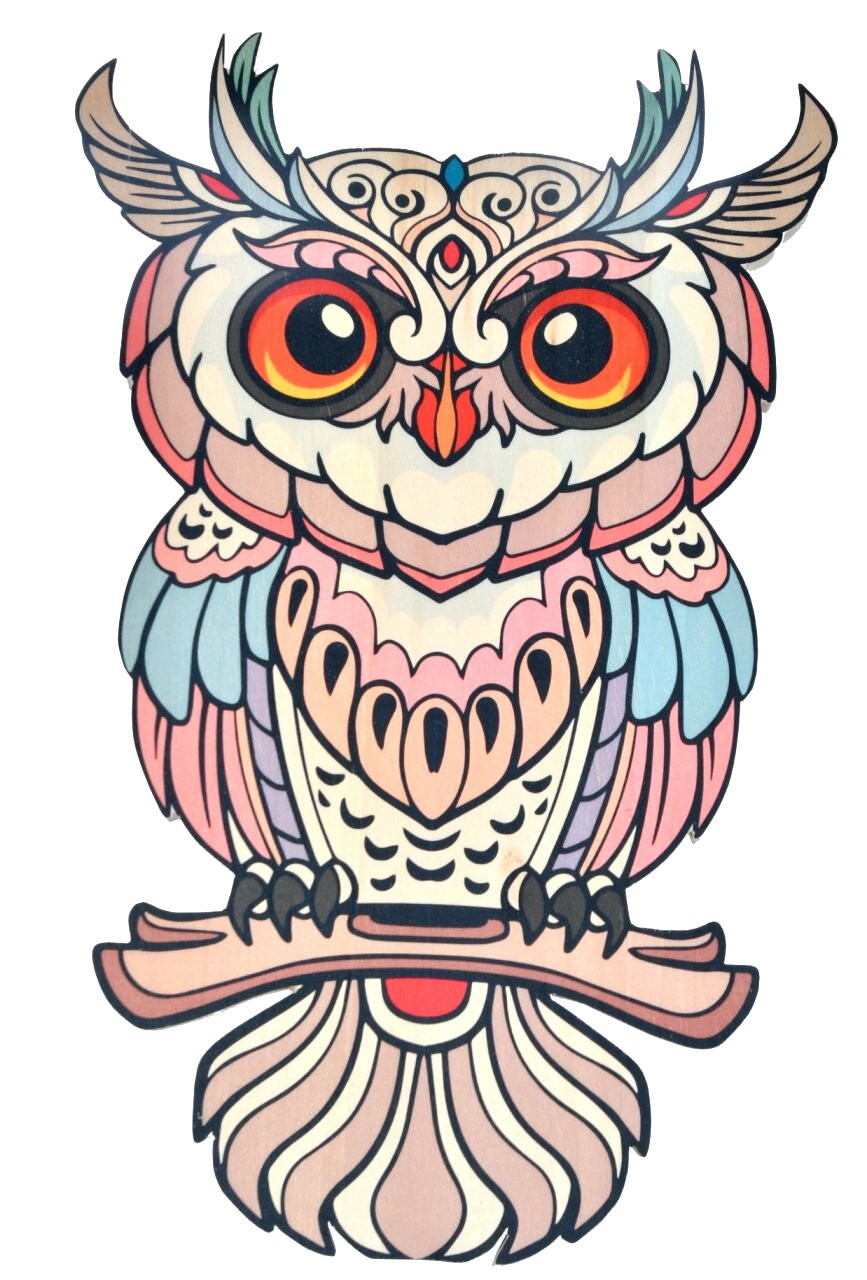 Dekoracja ścienna obraz sowa