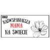 Prezent-dla-mamy-nosidlo-na-kwiaty -kwiatek